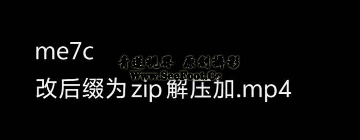 提取码