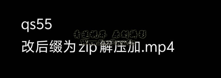 提取码