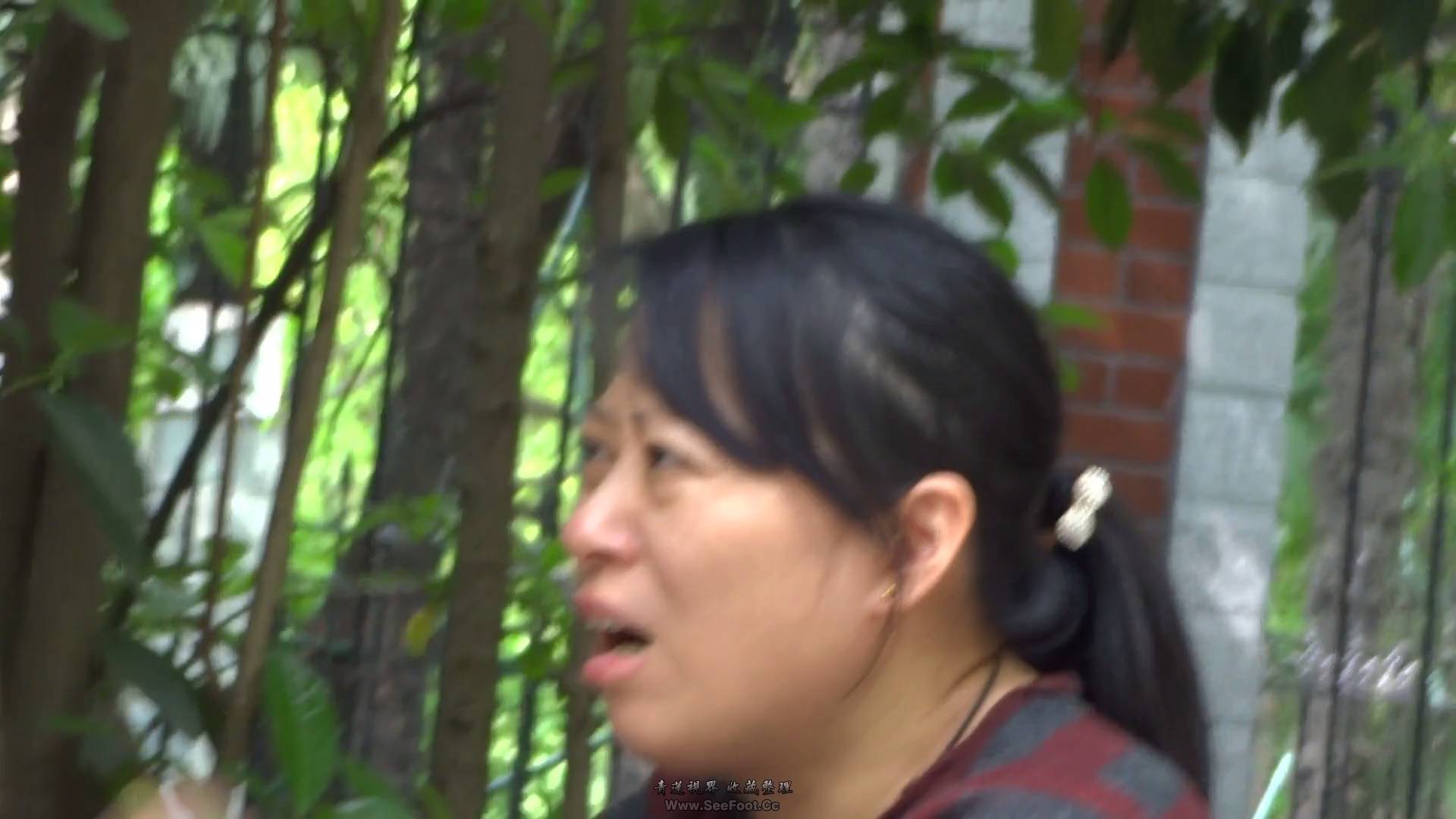 spsp (18)[00_01_46][20260208-075844].png